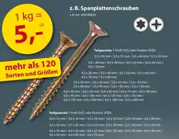 Sonderpreis Baumarkt z. B. Spanplattenschrauben Angebot