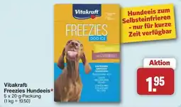 Famila Nord West Vitakraft Freezies Hundeeis Angebot