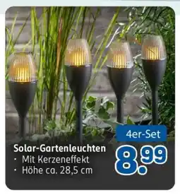 Rossmann Solar-Gartenleuchten Angebot