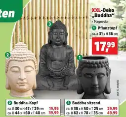 Thomas Philipps Pflanztopf Angebot