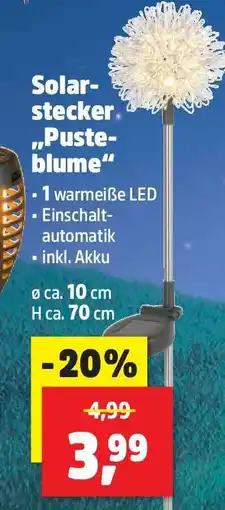 Thomas Philipps Solar-Stecker „Pusteblume“ Angebot