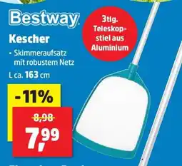 Thomas Philipps Kescher Angebot