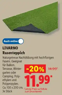 Lidl LIVARNO Rasenteppich Angebot