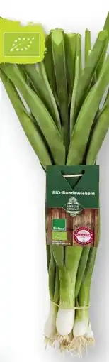 Scheck-in-Center Unsere Heimat Echt & Gut Bio-Lauchzwiebeln Angebot
