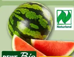 REWE Center Rewe Bio Mini Wassermelone Angebot