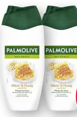 Scheck-in-Center Palmolive Dusche Angebot