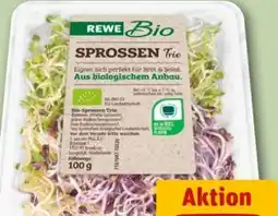 REWE Center Rewe Bio Sprossen Angebot