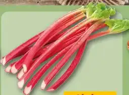 REWE Center Rhabarber Angebot