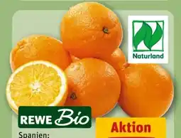 REWE Center Rewe Bio Orangen Angebot
