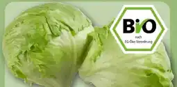 REWE Center Rewe Bio Bio-Eisbergsalat Angebot