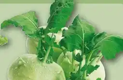 REWE Center Kohlrabi Angebot