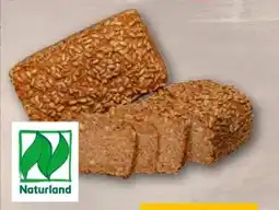 REWE Center Rewe Back-Station Bio Roggenvollkornbrot Angebot