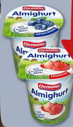 REWE Center Ehrmann Almighurt Angebot