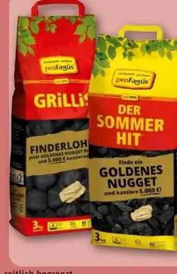 REWE Center proFagus Holzkohlebriketts Grillis Angebot