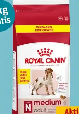 REWE Center Royal Canin Hundetrockennahrung Angebot