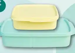 REWE Center Tupperware Lunch‐Box Angebot