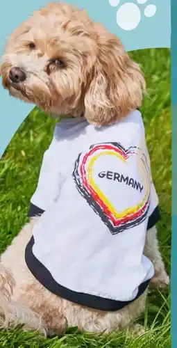 REWE Center ZooRoyal Fußball Hundetrikot Angebot