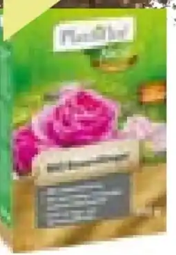 BayWa Bau & Garten Plantiflor Bio Rosendünger Angebot