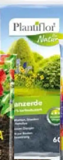 BayWa Bau & Garten Plantiflor Pflanzerde Angebot