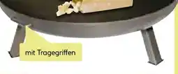 BayWa Bau & Garten Feuerschale Angebot