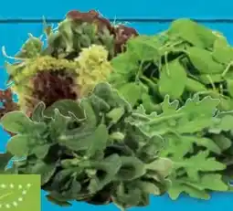 E-Center Bio Rucola-Salat Angebot