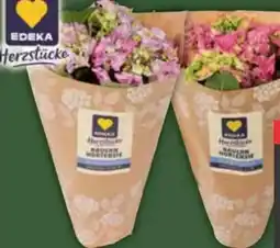 E-Center Edeka Herzstücke Hortensien Angebot