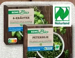 nahkauf Rewe Bio Kräuter Angebot