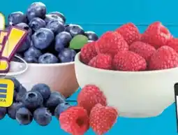 E-Center Himbeeren Angebot