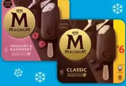 E-Center Langnese Magnum Angebot