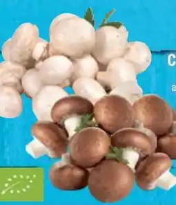 E-Center Bio-Champignons Angebot