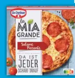 E-Center Dr. Oetker Ristorante Pizza Angebot