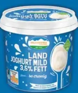 E-Center Weideglück Allgäuer Landjoghurt Angebot