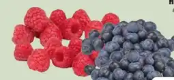 Edeka Xpress Himbeeren Angebot