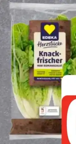 Edeka Frischemarkt Edeka Herzstücke Mini Romana Salat Angebot