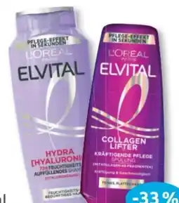 Budni L'Oréal Paris Elvital Shampoo Angebot