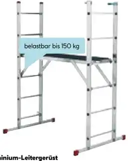 Hellweg Leitergerüst Angebot
