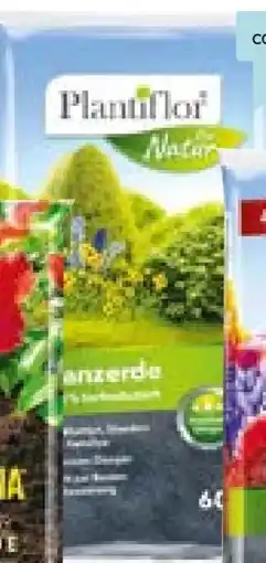 Hellweg Plantiflor Pflanzerde Angebot