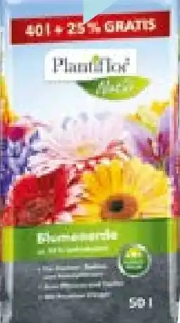 Hellweg Plantiflor Blumenerde Angebot