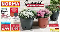 Norma Power Garden Blumentopf ,,Flora" Angebot