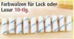 Norma KRAFT WERKZEUGE Farbwalzen für Lack oder Lasur 10-tig. Angebot