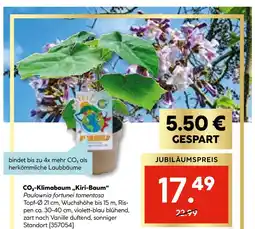 Hellweg Co₂-klimabaum 'kiri-baum' Angebot