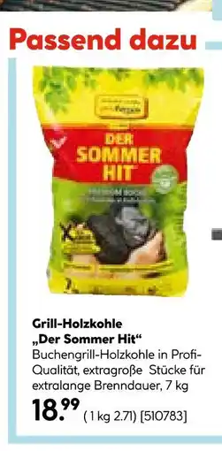 Hellweg Grill-holzkohle „der sommer hit“ Angebot