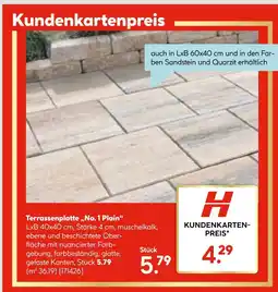 Hellweg Terrassenplatte no. 1 plain Angebot