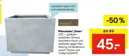 Hellweg Haveson pflanzkübel dado Angebot