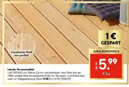 Hellweg Lärche-terrassendiele Angebot