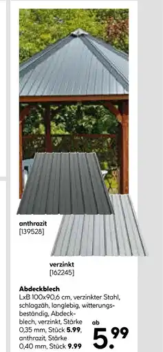 Hellweg Abdeckblech anthrazit Angebot