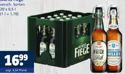 Getränkewelt Moritz fiege pils Angebot
