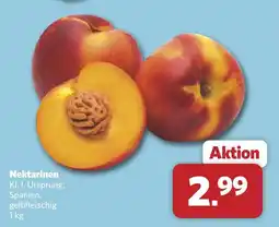 Combi Nektarinen Angebot