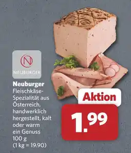 Combi Neuburger fleischkäse-spezialität Angebot
