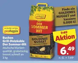 Combi Profagus buchen grill-holzkohle der sommer-hit Angebot